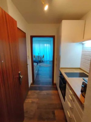 Voll möblierte 1-Zimmer Wohnung Zentral in Heidelberg-Bergheim (Neuer Einzugstermin ab Sept.)