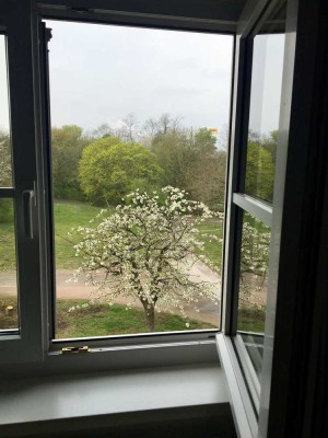 2 Zimmer-Küche-Bad-Balkon (ZKBB) direkt am Park in Grünwinkel