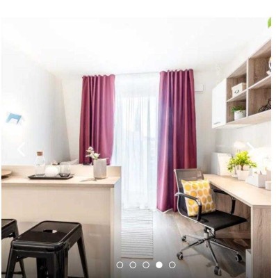 Geschmackvolle 1-Zimmer-Wohnung mit luxuriöser Innenausstattung in Freiburg im Breisgau