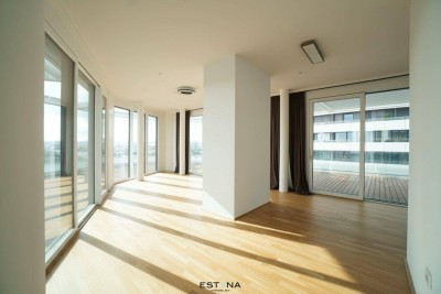 Lichtdurchflutete Dachgeschosswohnung mit beeindruckendem Panoramablick auf die Donauinsel