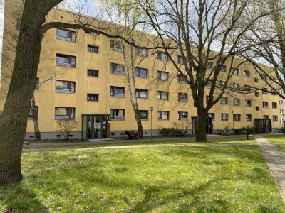 Vermietete 4 Zimmer Wohnung im Dachgeschoss - am Volkspark Potsdam