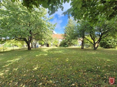 Das Paradies für die große Familie, zusätzlich mit Einliegerwohnung!