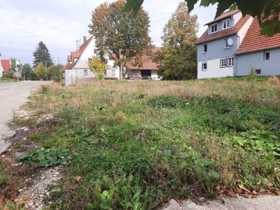 3 Zimmerwohnung - provisionsfrei !