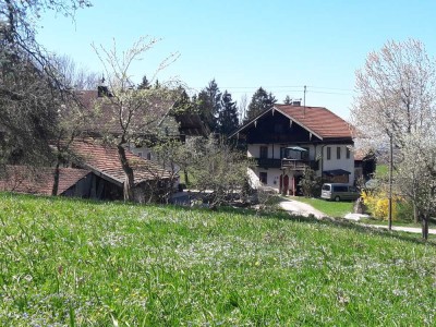Ferienhaus im Chiemgau sucht neue Mitmieter für 85€ im Monat