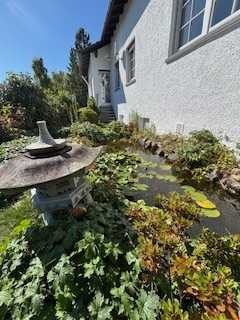 Einfamilienhaus mit Garten