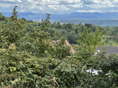 Exklusive Lage mit atemberaubendem Panoramablick! Großzügiges Einfamilienhaus mit ELW 204-23