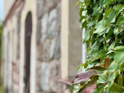 Wohnoase auf 4.439 m² – großzügiges Landhaus mit Ausbaupotenzial und mehreren Nebengebäuden