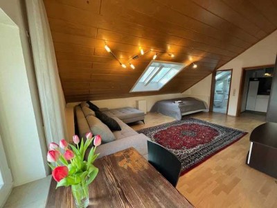 Möblierte gemütliche 1-Zimmer-Wohnung in Radofzell am Bodensee