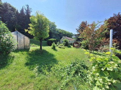 Bungalow mit großem Garten mit Obstbaumbestand - Besichtigungen am 1.7.2025 möglich