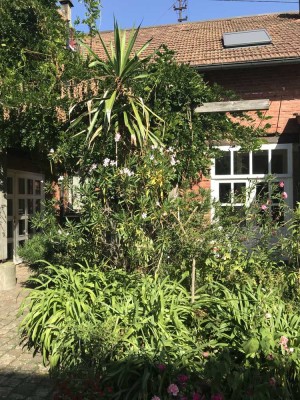 Charmante Maisonette Wohnung mit Terrasse und Garten