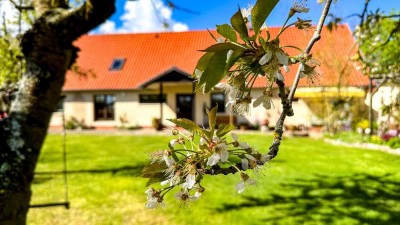 Idyllisches Anwesen mit zwei Einliegerwohnungen nahe der Ostsee