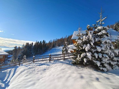 ALMHAUS DIREKT AN DER PISTE | HOCHRINDL | GURKTALER ALPEN