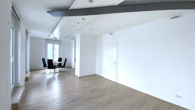 Luxuriöse Stadtwohnung  *Loftcharakter* mit großer Dachterrasse