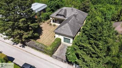 Zwischen den Burgen - Einfamilienhaus an der Schwechat!