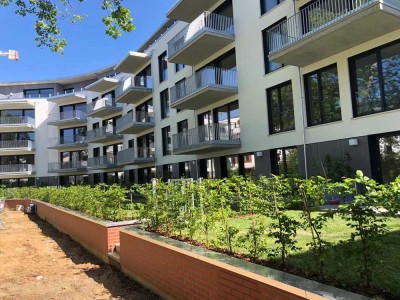 Geräumige 4-Zimmer Wohnung im Östlichen Ringgebiet in Braunschweig