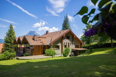 Zwischen Bäumen und Träumen – Naturidyll am Waldrand