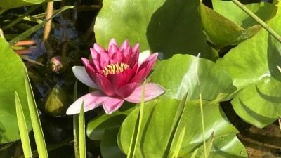 Idylle mit vielseitigen Nutzungsmöglichkeiten