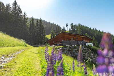 Seltene Gelegenheit - Skithütte auf der 4-Berge-Skischaukel