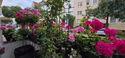 Döhren, 3 Zi.,Kü.,2 Blk., EG, Duschbad mit Fenster, ca. 74 m², € 760.-+NK, zum 01.11.2025