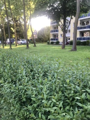 3 Zimmer EG Wohnung mit Balkon + Stellplatz  in Bochum Wiemelhausen/Brenschede