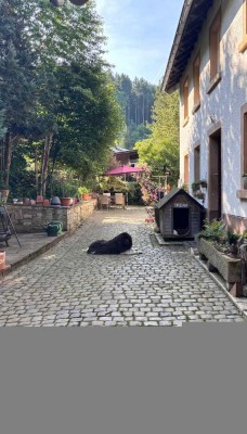 Provisionsfrei!!!
Renoviertes Mehrfamilienhaus mit viel Platz.