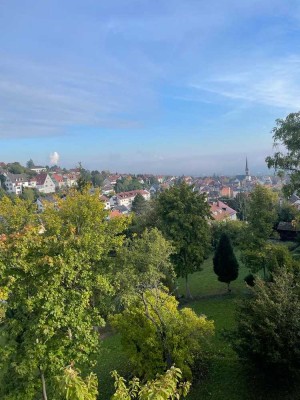 Stuttgart, Schöner Wohnen in Aussichtslage - kernsaniertes Vier-Familien-Haus. PROVISIONSFREI.