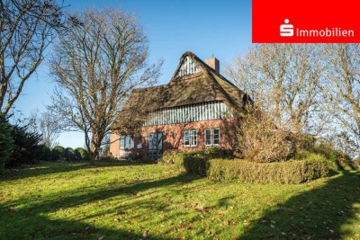 Reetdachanwesen am Elbdeich in fast Alleinlage