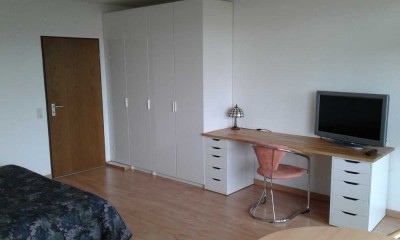 Geschmackvolle, modernisierte 1-Raum-Wohnung mit gehobener Innenausstattung mit EBK in Lahnstein