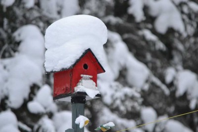 Ihr Haus, Ihr Garten, Ihr neues Zuhause! Schlüsselfertige Häuser von Bien-Zenker!