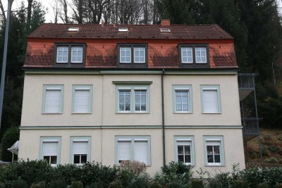 helle 1,5-Zimmer-Wohnung in Dresden-Loschwitz