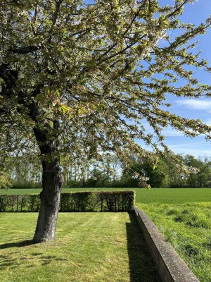 Charmantes Einfamilienhaus in idyllischer Lage mit großem Garten und Terrasse