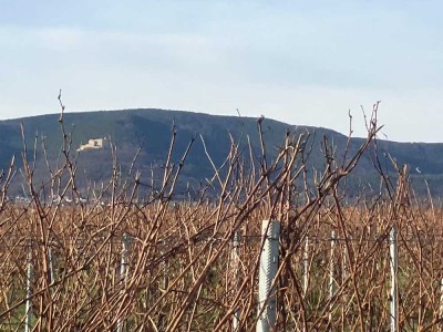 Stilvolle 4-Raum-Wohnung mit gehobener Innenausstattung mit Balkon in Kirrweiler (Pfalz)