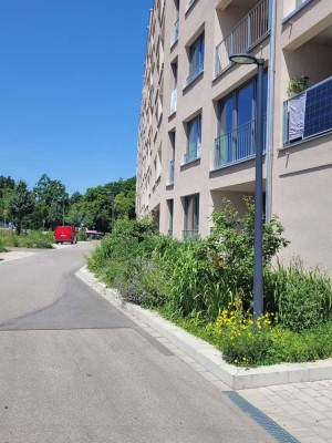 Sehr großes, sonniges 1 Zi. Apartment