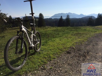 Sonnige Balkonwohnung in Saalfelden / Top 2!