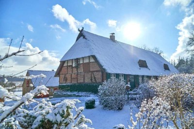 Denkmalgeschütztes Bauernhaus mit viel Land und Stadtnähe (375 m2 ausbaufähig)