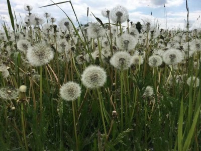 Ihr maßgeschneidertes Traumhaus mit Bien-Zenker: Wo Wünsche wahr werden