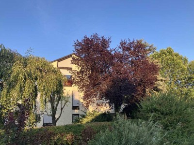 Panoramablick an der Achalm