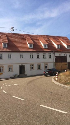 Helle, große Wohnung mit Studio und Dachterrasse in Meimsheim!