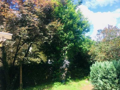 Zentrale, helle 2-Zimmer-Wohnung mit Terrasse im Grünen