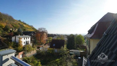 3 RAUM WOHNUNG MIT BLICK INS ELBTAL