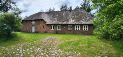 renovierungsbedürftiges Reetdachanwesen auf 1,85 Hektar großem Grundstück sucht kreative Liebhaber