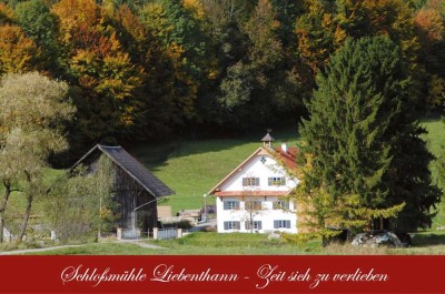 Schlossmühle Liebenthann