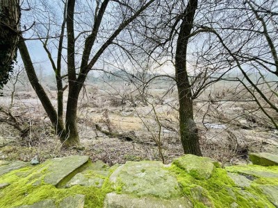 Für Naturliebhaber! Hübsche 1-Zimmer Wohnung mit Neckarblick