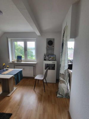 Möbliert, Zentrale Lage, ohne Balkon, Einpersonen Apartment 2ZKB, nah zu Boehringer und in die City