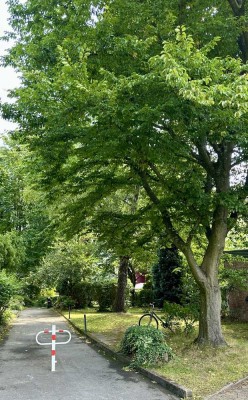Selbstnutzer Aufgepasst- 2,5 Zimmer Wohnung mit Balkon