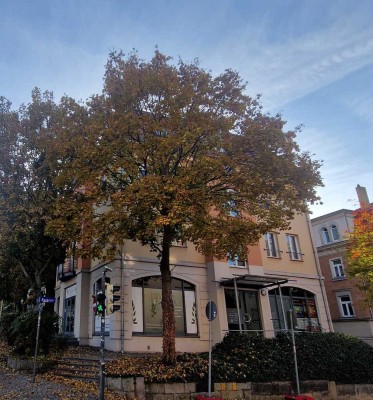 Wohnen in Plauen - 2 Balkone!