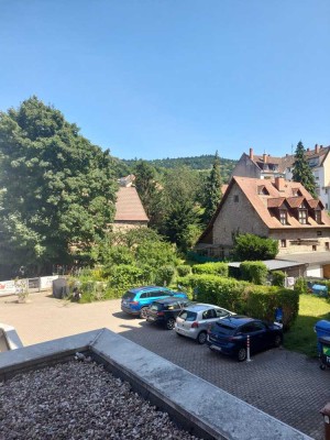 Kernsanierte moderne WG in Handschuhsheim