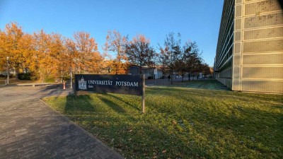 Galeriewohnung in Potsdams grünem Norden