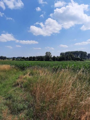 Hochwertige Doppelhaushälfte ! Villenstil ! Direkt am Feld