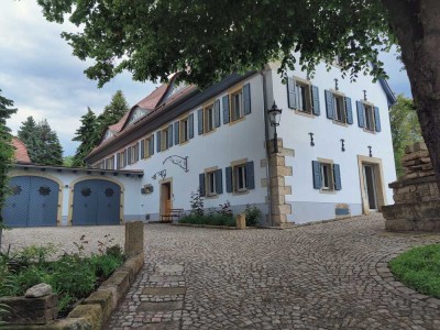 2,5 Zimmer Wohnung mit Einbauküche im Dresdner Süden in ruhiger Lage.